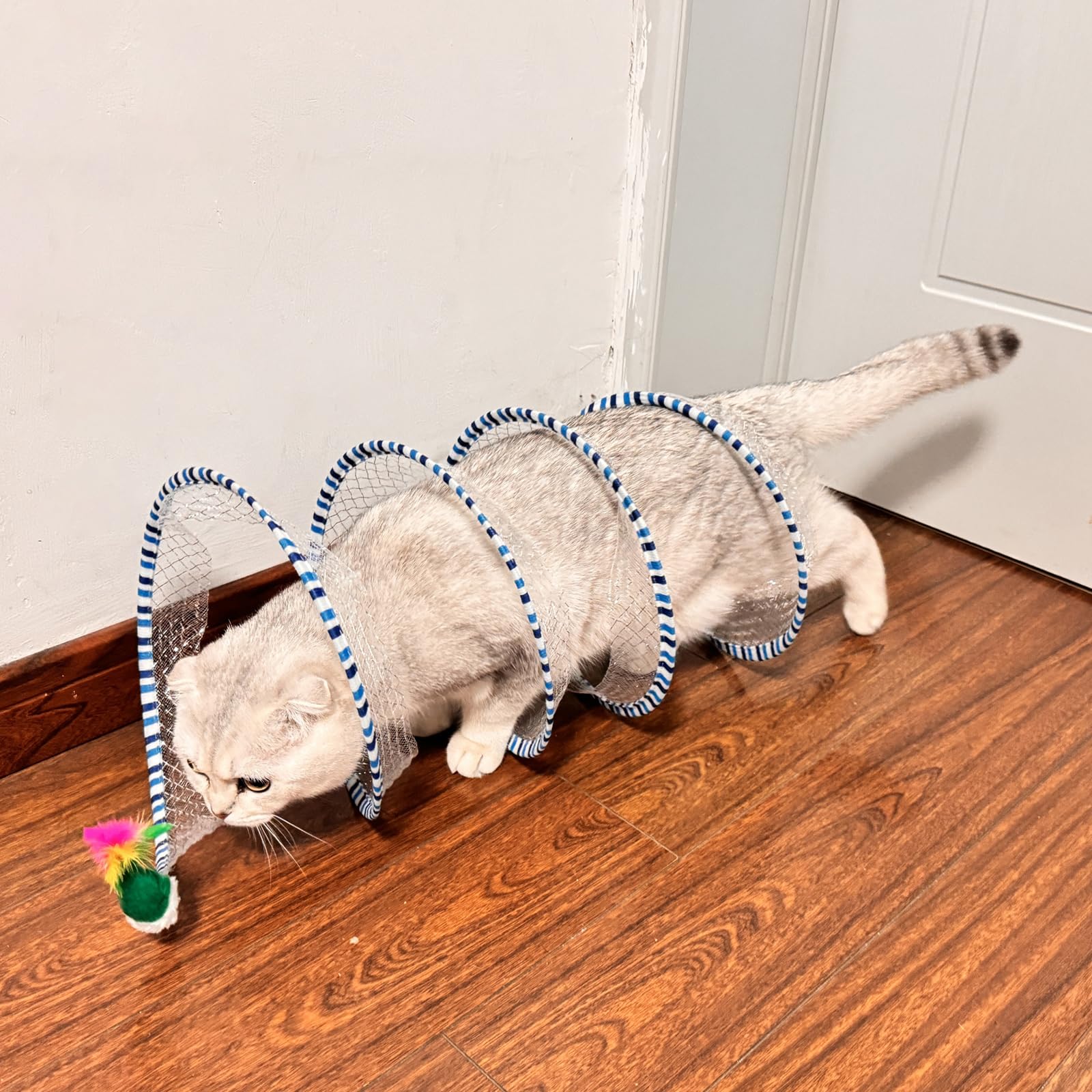 TEASIK chaton jouant dans le tunnel, encourage exercice et amusement