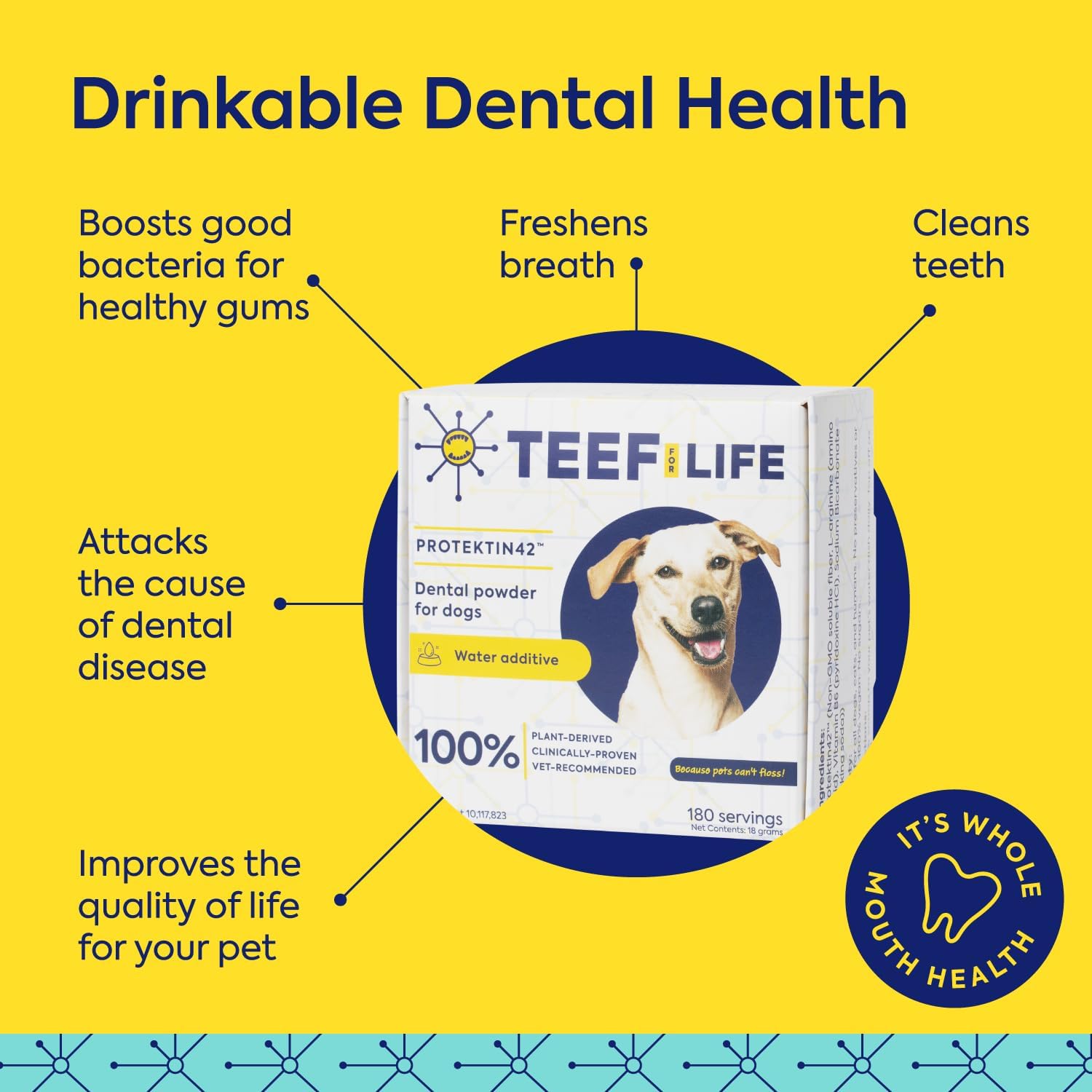 TEEF FOR LIFE doseur illustrant portionnement précis pour une hygiène buccale continue