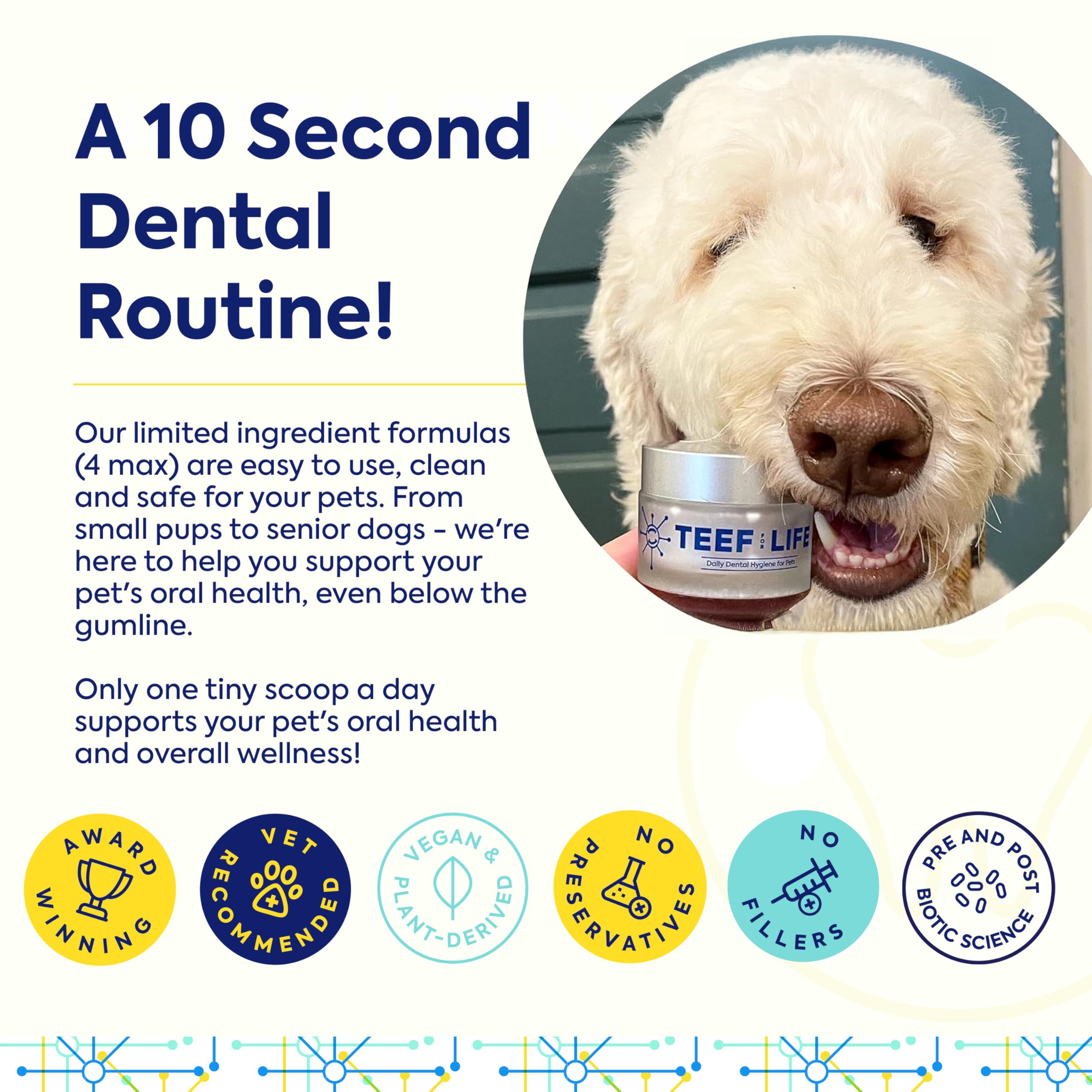 TEEF FOR LIFE boîte près d'un chiot illustrant usage quotidien et acceptation