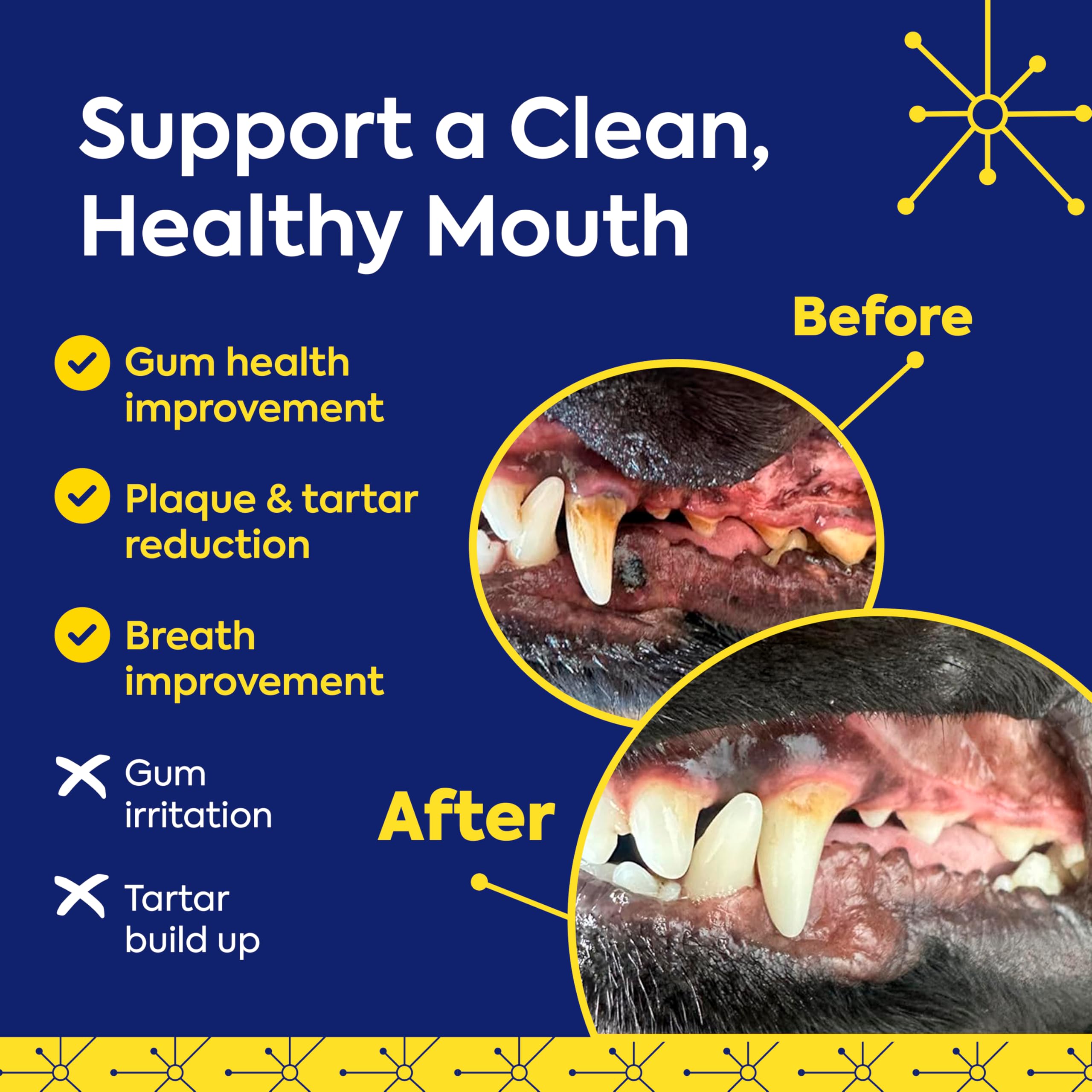 TEEF FOR LIFE poudre mélangée à nourriture montrant compatibilité et discrétion