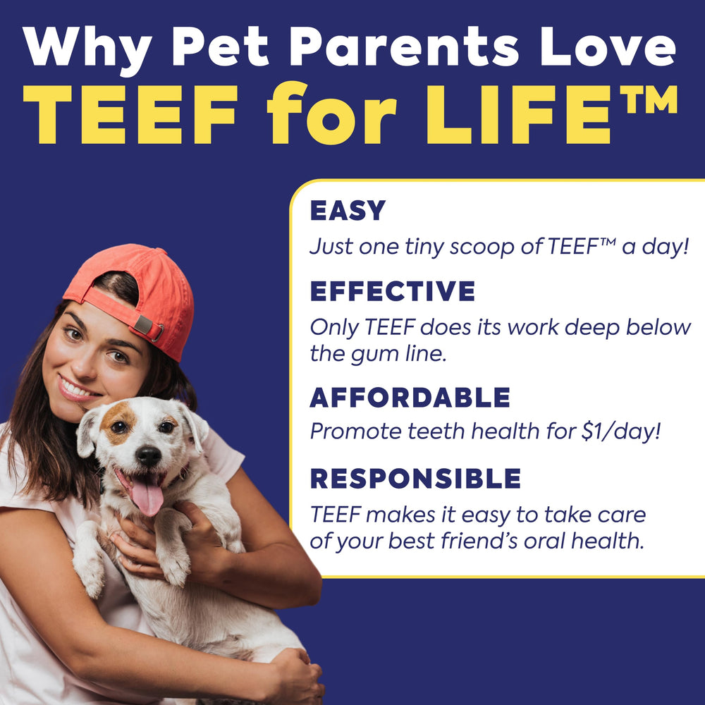 TEEF FOR LIFE recharge à côté du pot réutilisable montrant compatibilité pratique