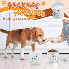 Teenyyou gamelle en usage par un chat pour repas confortable