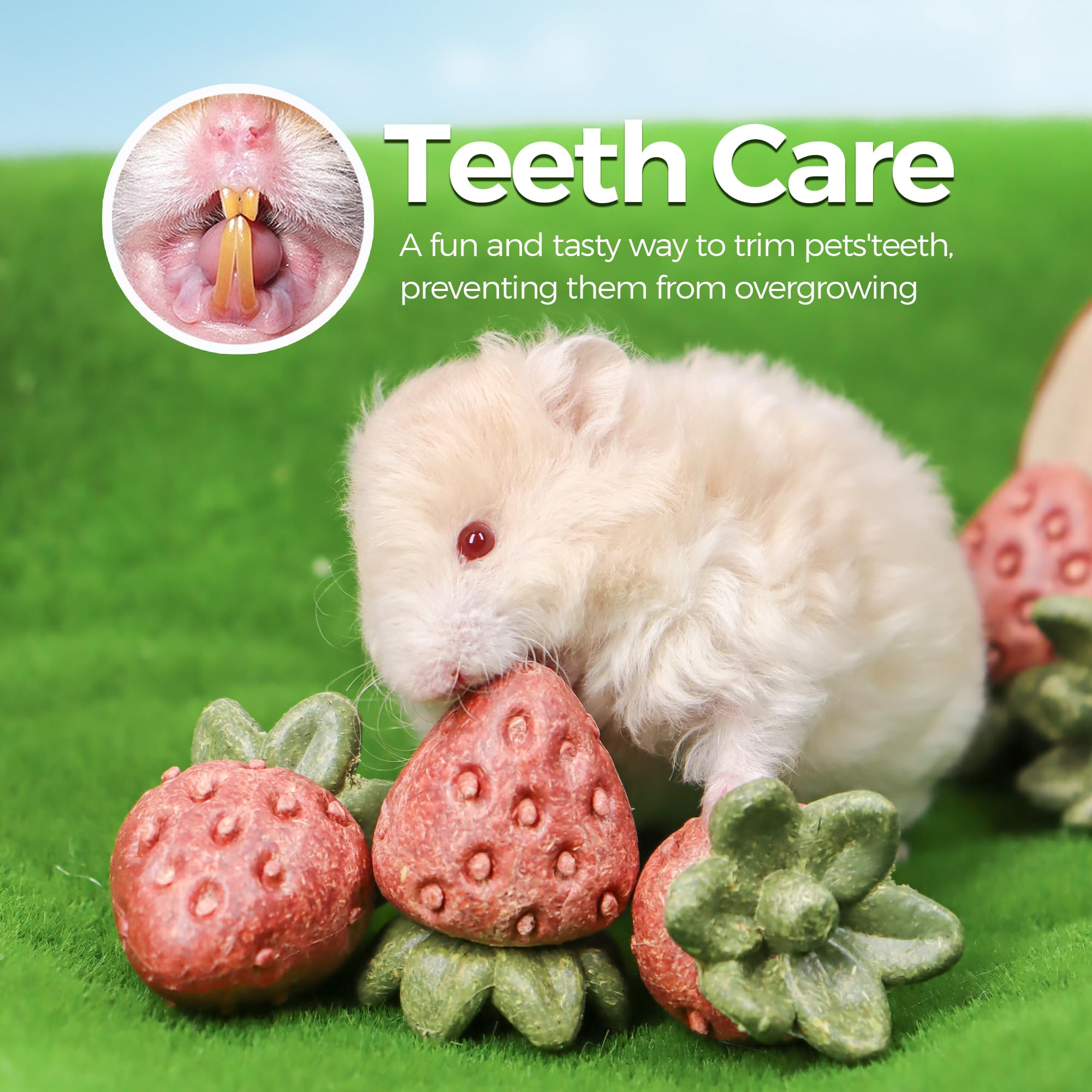 TEEWY jouet fraise posé dans cage apportant enrichissement visuel