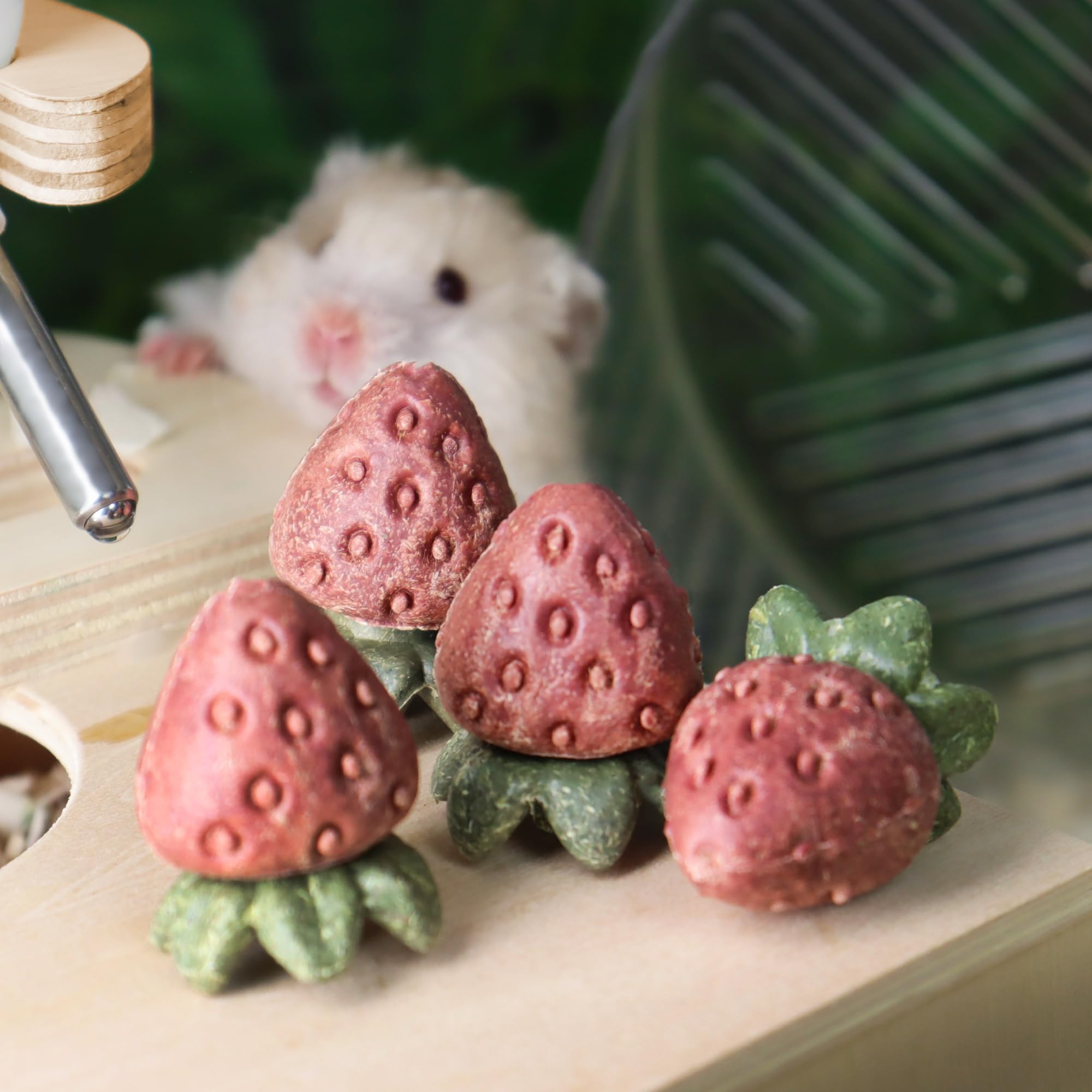 TEEWY quatre jouets fraise alignés offrant rotation quotidienne