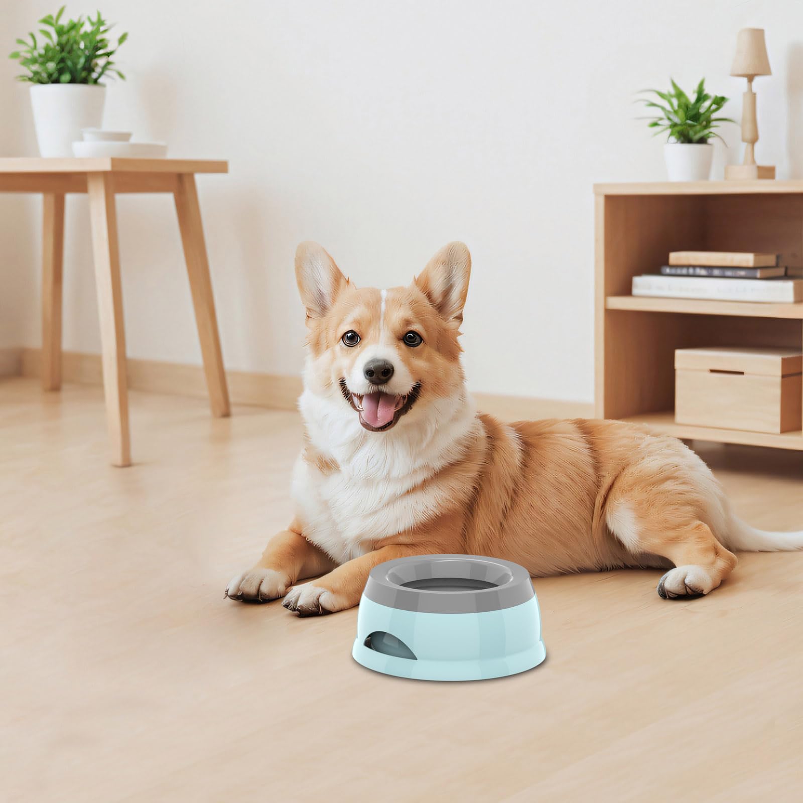 Tekcoo présentation des trois couleurs pour assortir votre intérieur
