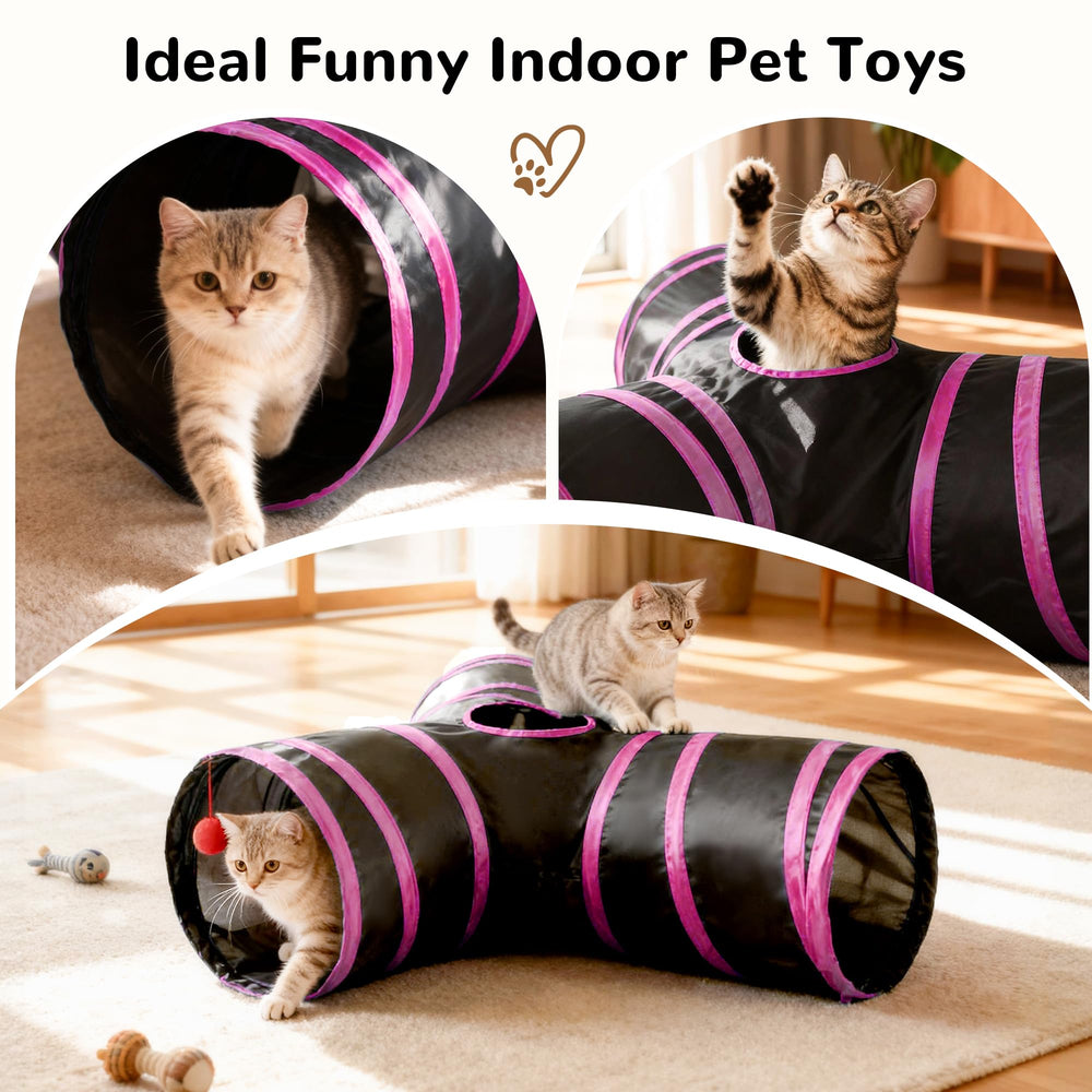 Tempcore chat jouant dans le tunnel encourage exercice et amusement