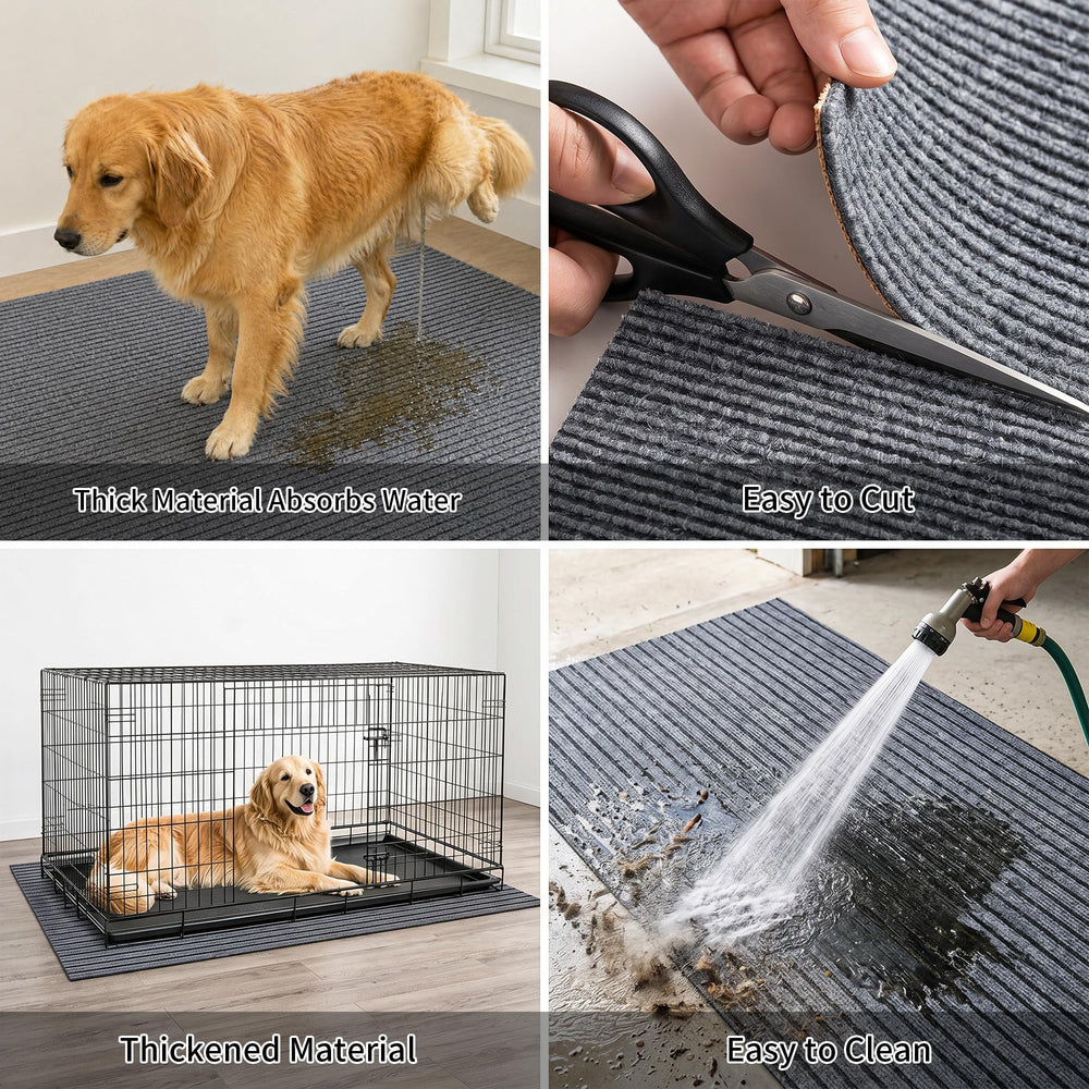 Tempoak tapis installé dans cage avec grand chien pour sécurité