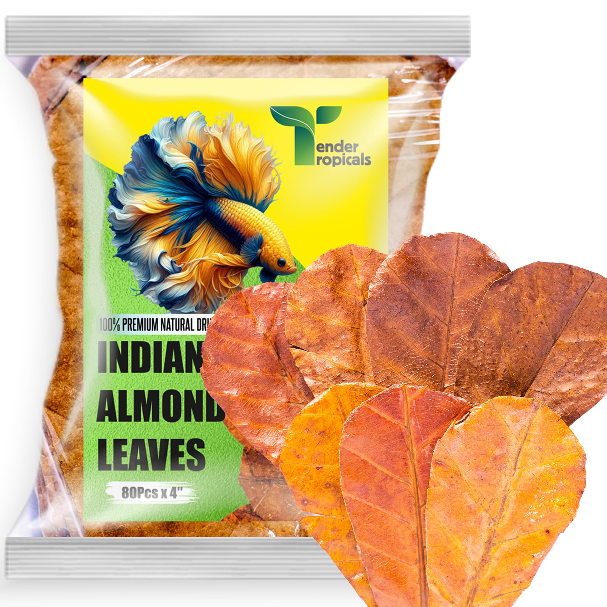 Tender Tropicals emballage avant montrant le lot de 80 feuilles et praticité