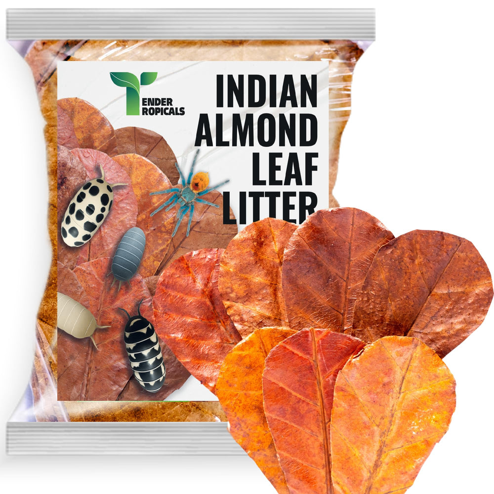 Tender Tropicals emballage devant montrant 80 feuilles, conservation naturelle