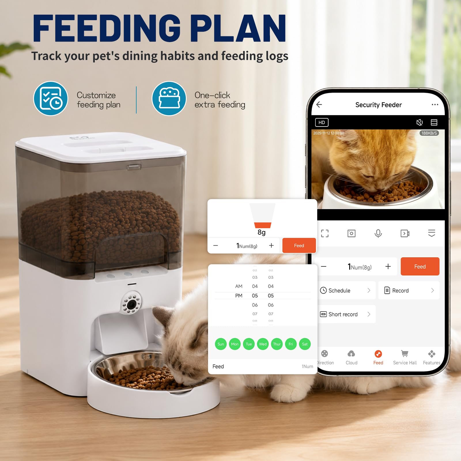 TENECUTE comparaison taille montrant capacité 6L et dimension domestique
