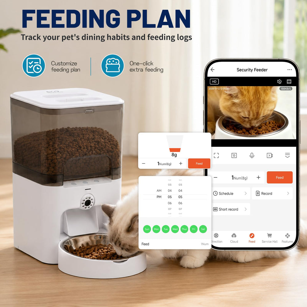 TENECUTE comparaison taille montrant capacité 6L et dimension domestique