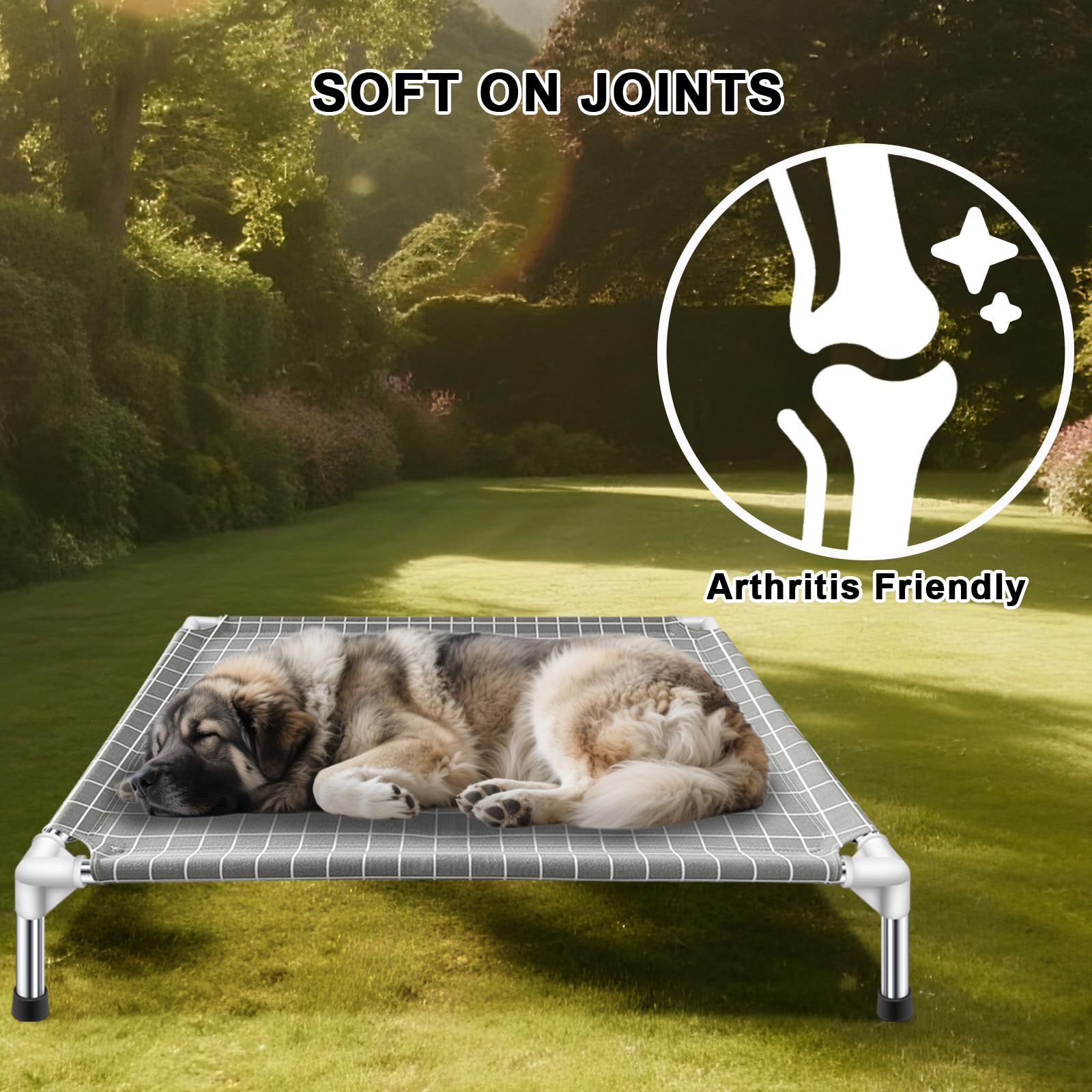 Tensorsine lit en usage avec un Golden Retriever confortable