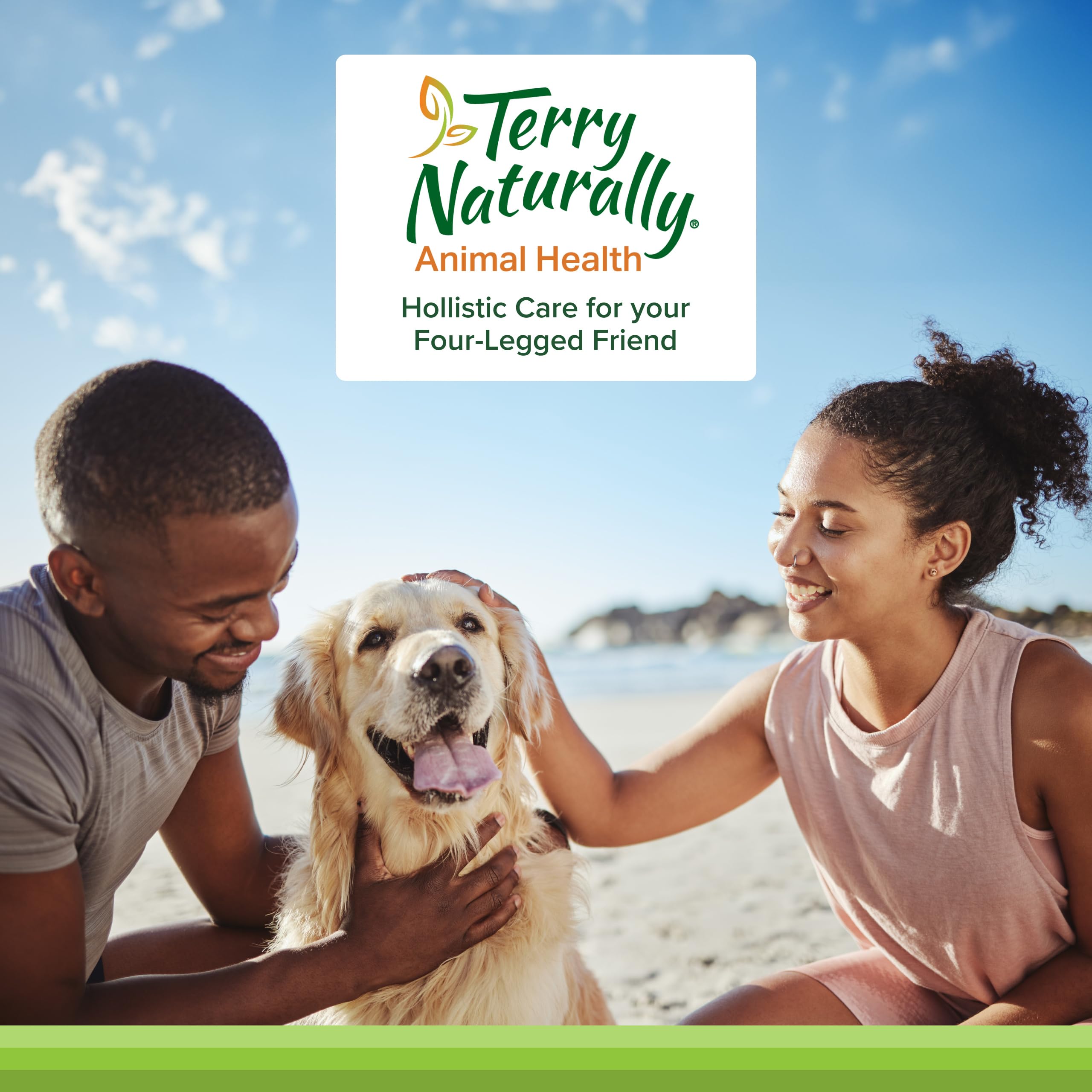 Terry Naturally racines de curcuma brut montrant origine durable