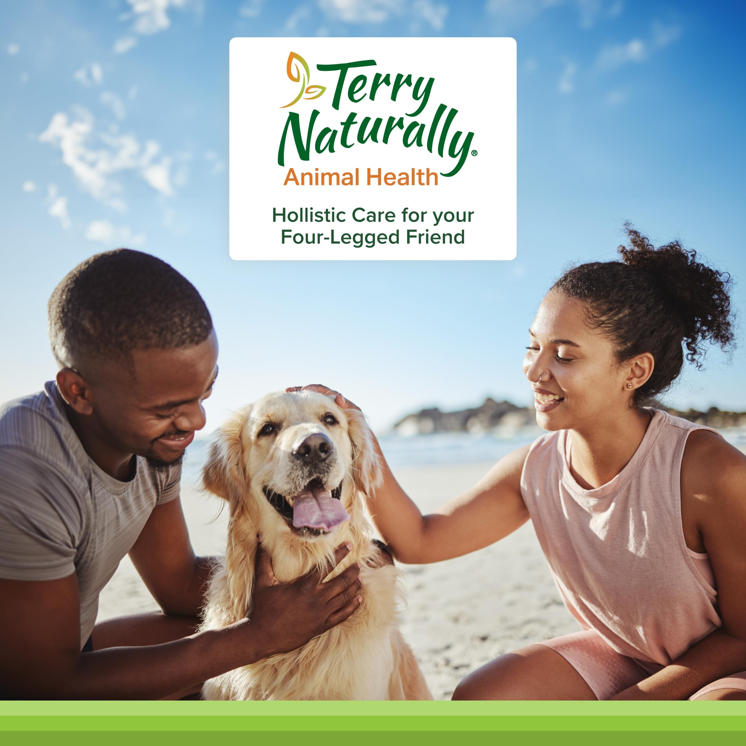 Chien au repos après promenade avec Terry Naturally suggérant soutien mobilité