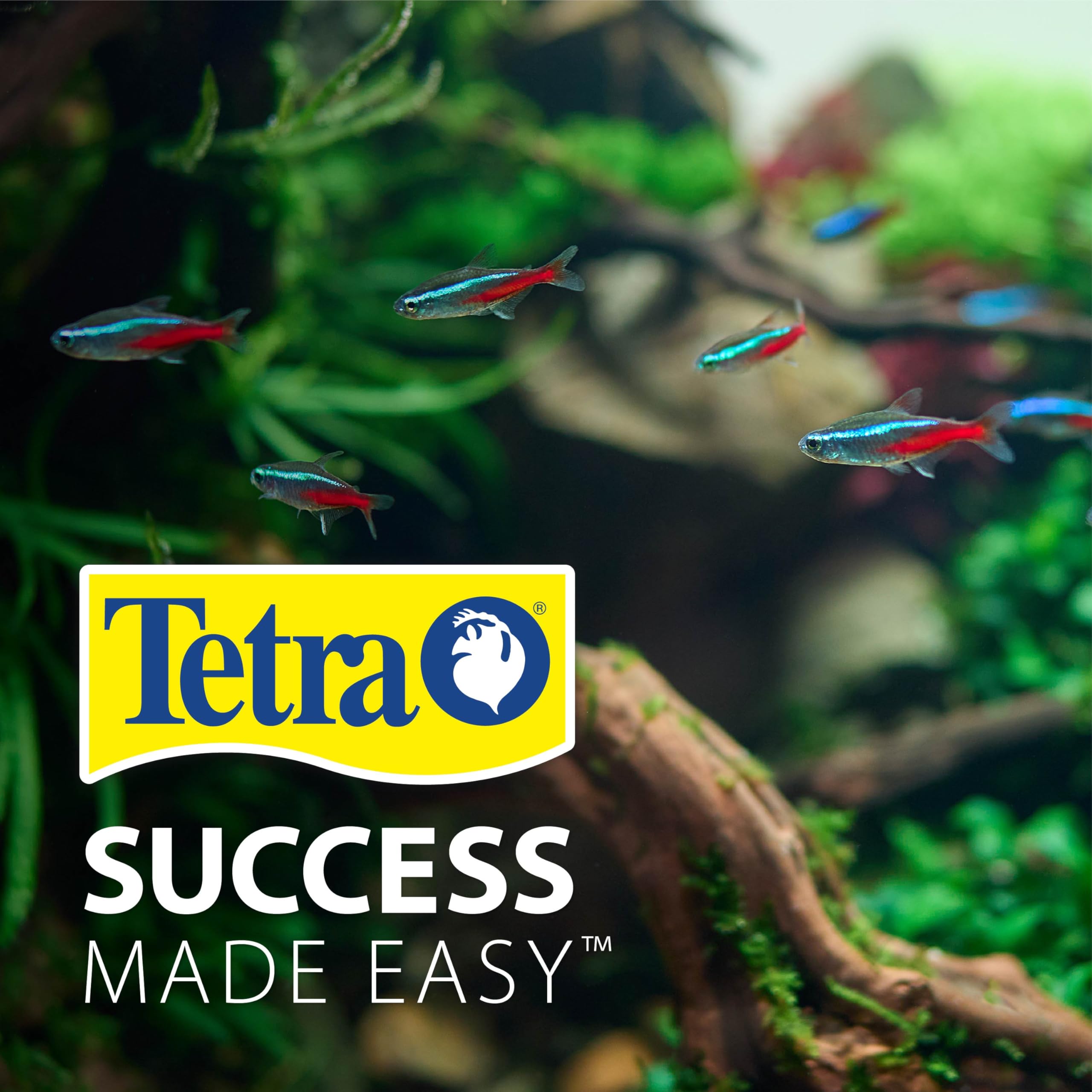 Tetra comparaison de taille avec mètre pour vérification d'ajustement