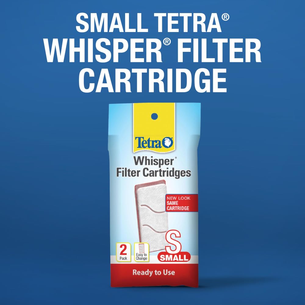 Tetra cube en usage avec poissons affichant un habitat compact sain