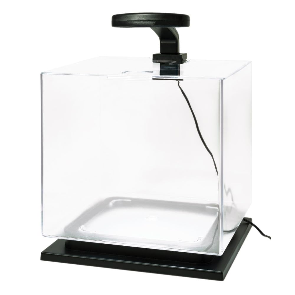 Tetra cube filtre 3i montrant le média filtrant pour une eau plus propre