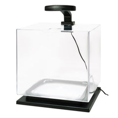 Tetra cube filtre 3i montrant le média filtrant pour une eau plus propre