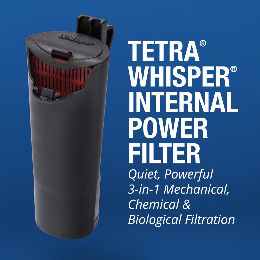 Tetra cube gros plan coin du bac plastique solide résistant aux chocs