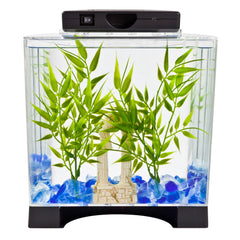Tetra couvercle clair avec ouverture pour nourrir facilement le betta