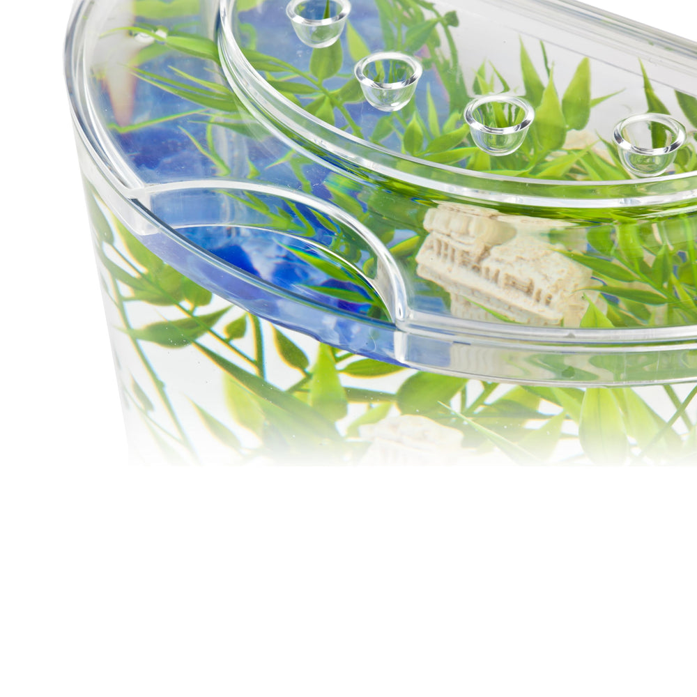 Tetra aquarium installé sur bureau créant une ambiance apaisante