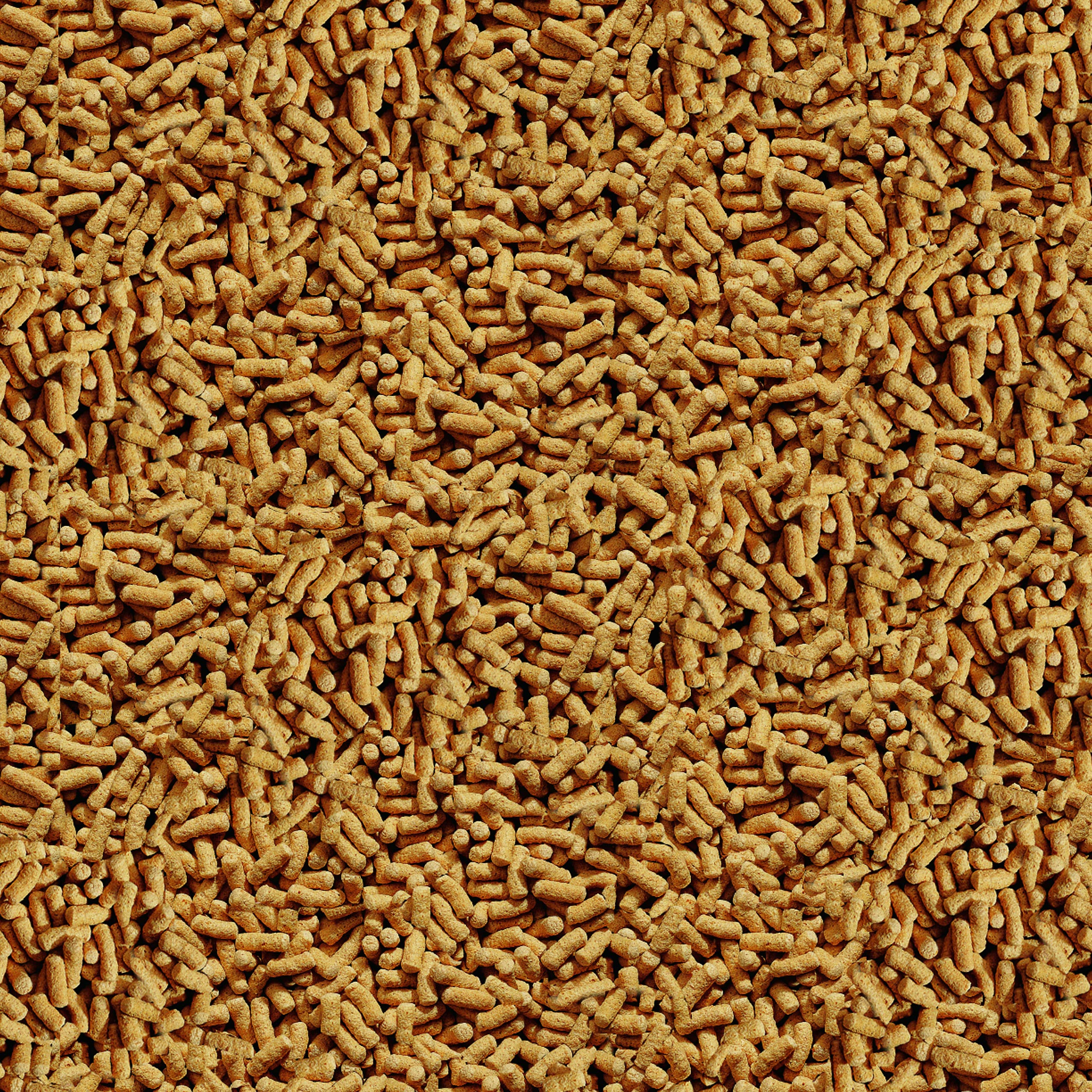 Tetra gros plan sur la texture des bâtonnets pour une ingestion facile