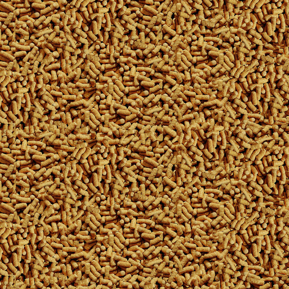 Tetra gros plan sur la texture des bâtonnets pour une ingestion facile