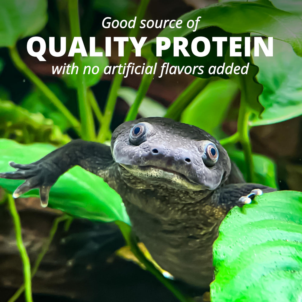 Tetra ReptoMin en utilisation avec tortue nourrie à la surface pour interaction naturelle