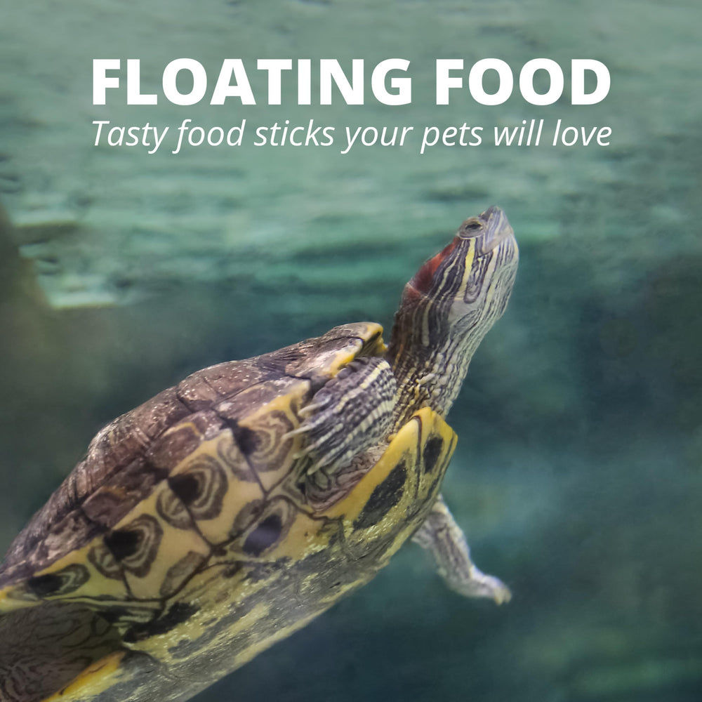 Tetra produit placé dans aquarium décoré, aspect lifestyle