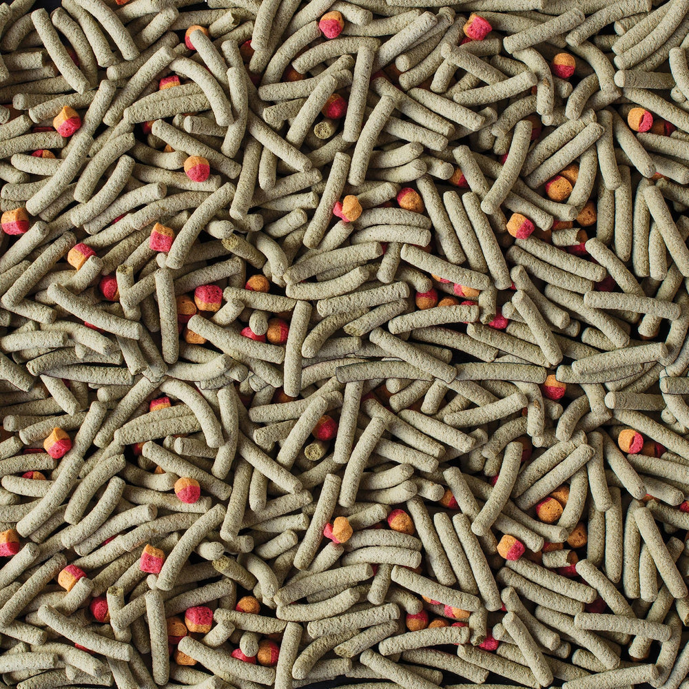 Tetra ReptoMin Pro Sticks détail de l'étiquette et des ingrédients, bénéfice : transparence