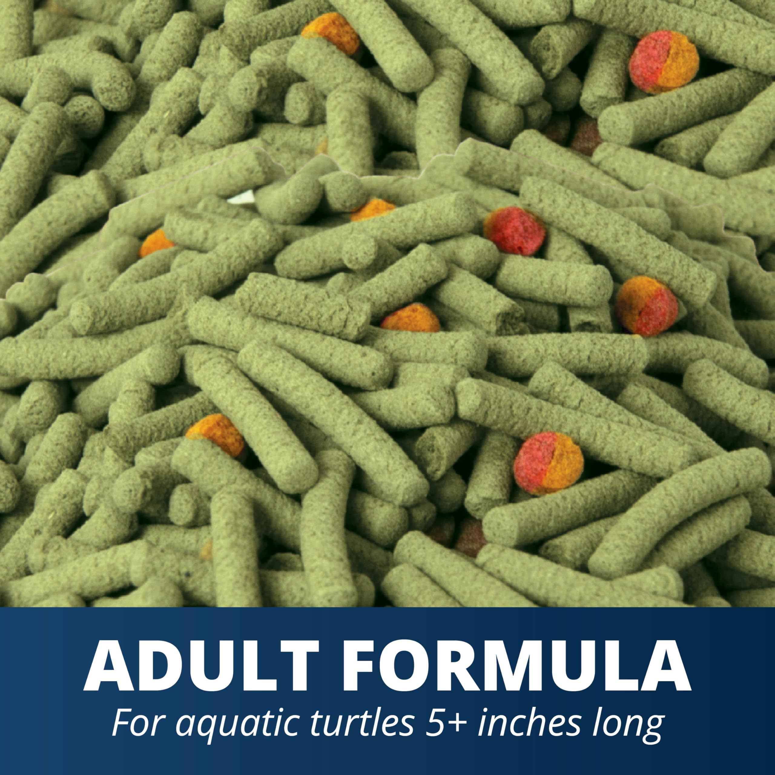 Tetra sticks flottants en surface, favorise alimentation naturelle