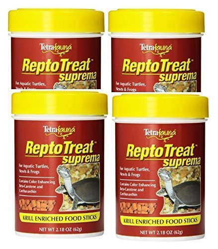 Tetra bocal devant montrant sticks appétents et nutrition pratique