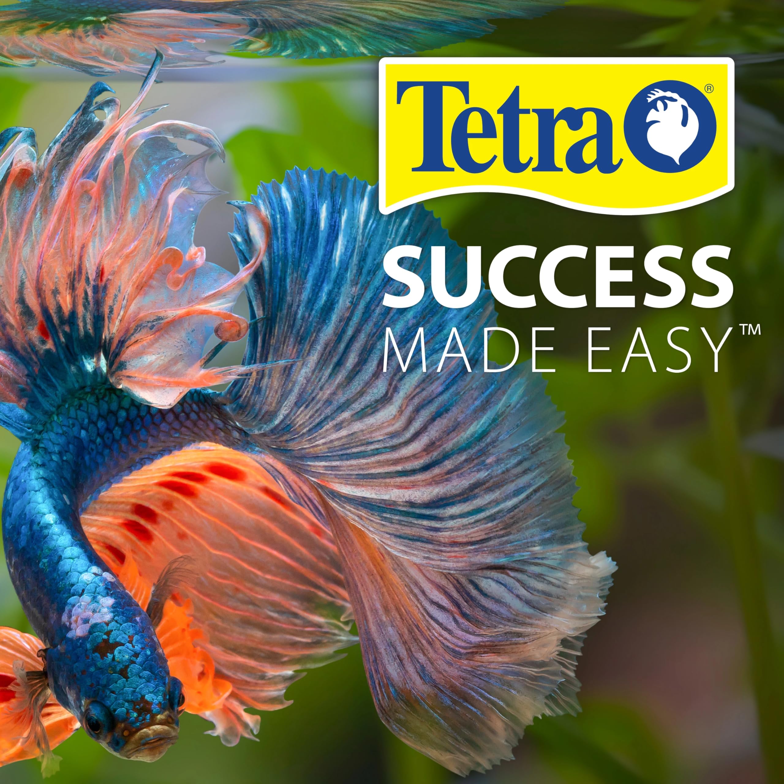 Tetra SafeStart Plus favorisant colonisation bactérienne sur média filtrant