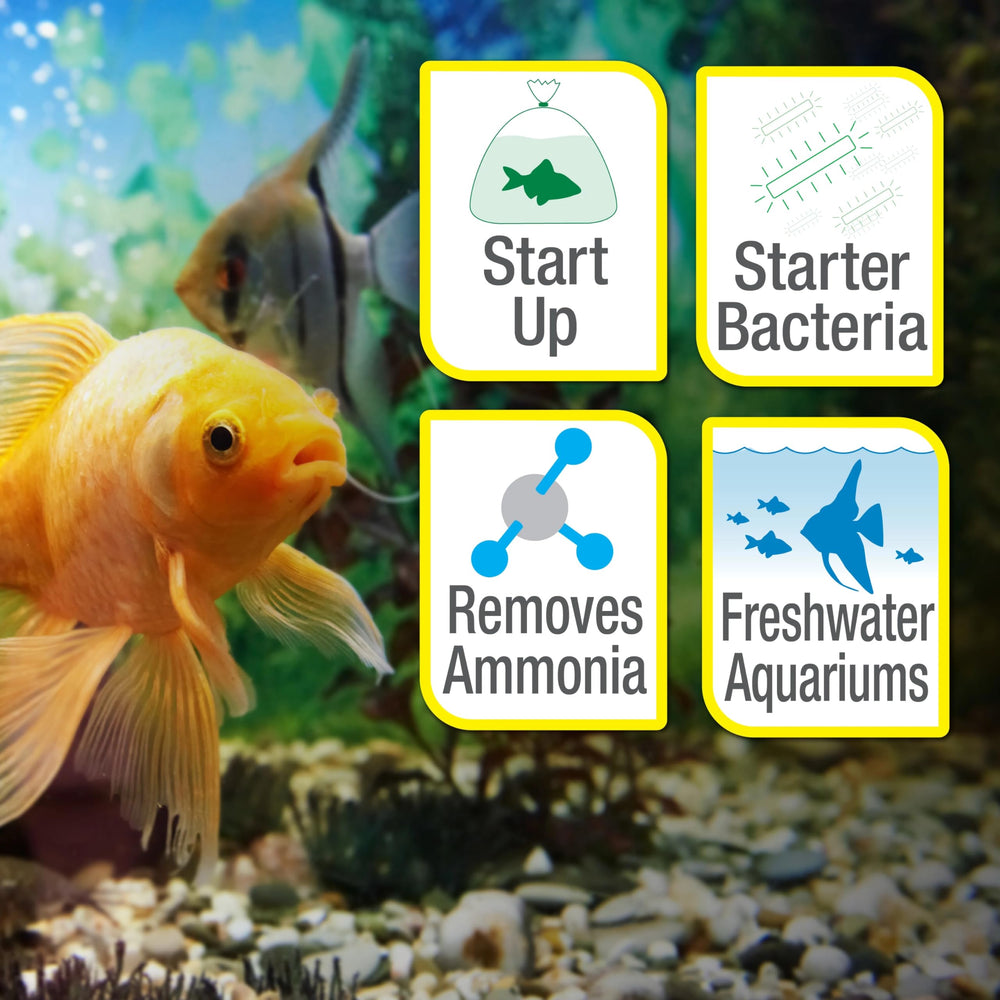 Tetra SafeStart Plus résultats de test d'eau montrant réduction des toxines