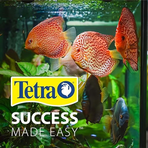 Tetra Starter comparaison d'échelle montrant le volume compact pratique