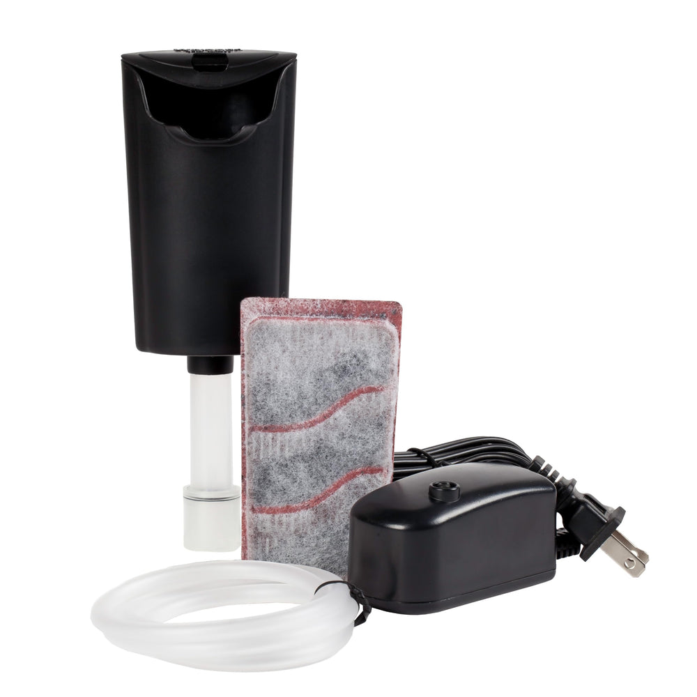 Tetra Starter filtre Whisper interne montrant la cartouche Bio-Bag efficace