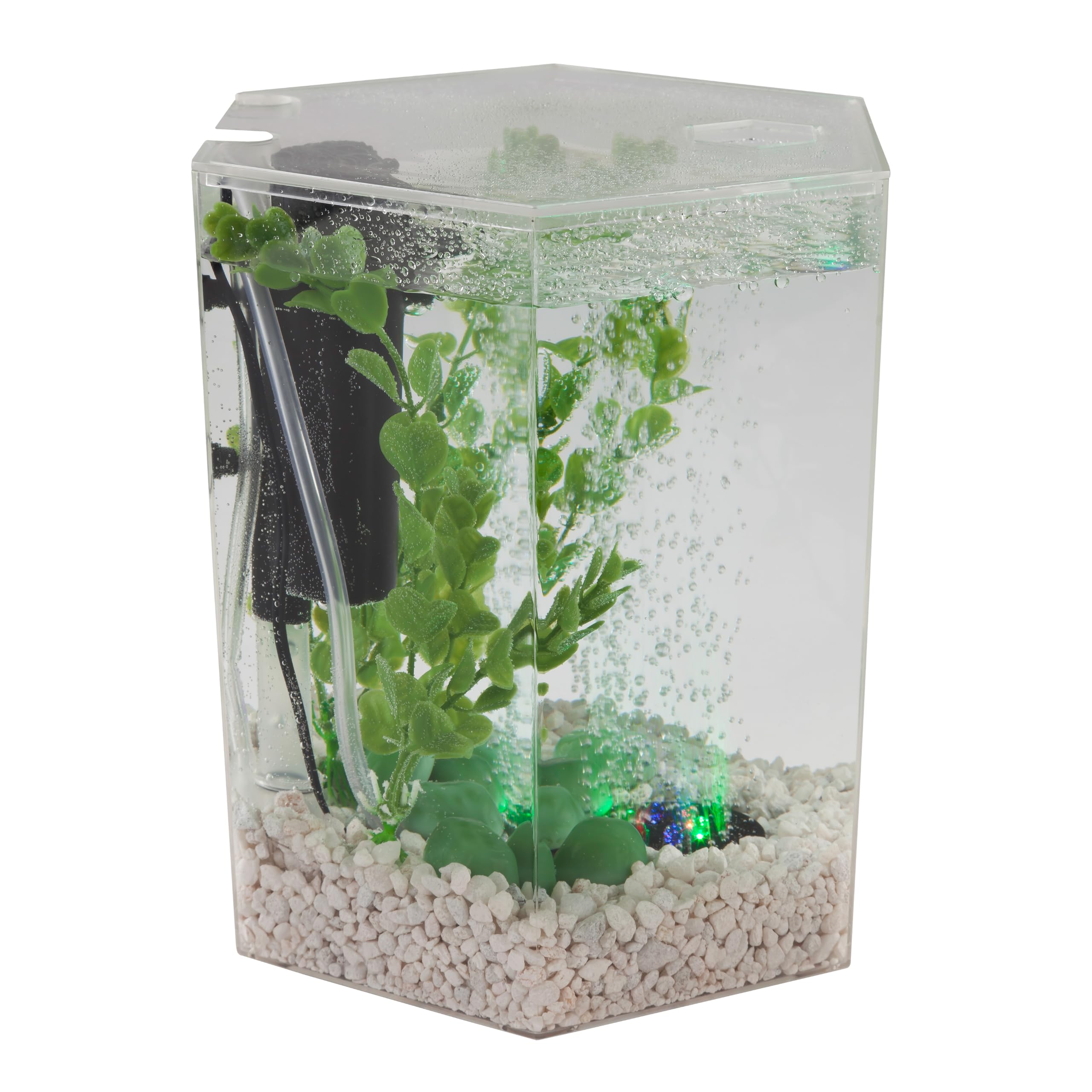 Tetra Starter pompe à air en gros plan pour optimiser filtration et bulles