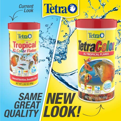 Tetra comparaison taille flocon montrant adaptation aux grands poissons