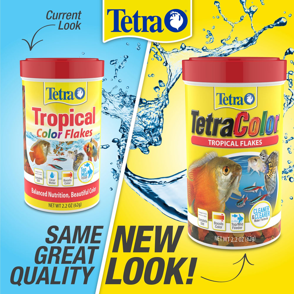Tetra mise en scène décorative montrant produit dans habitat