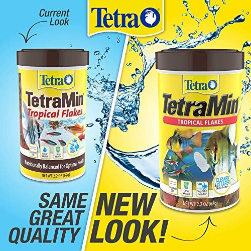 Tetra bocal avec routine d’alimentation simplicité d’usage