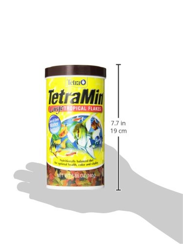 Tetra TetraMin XL zoom sur date et lot montrant fraîcheur et traçabilité