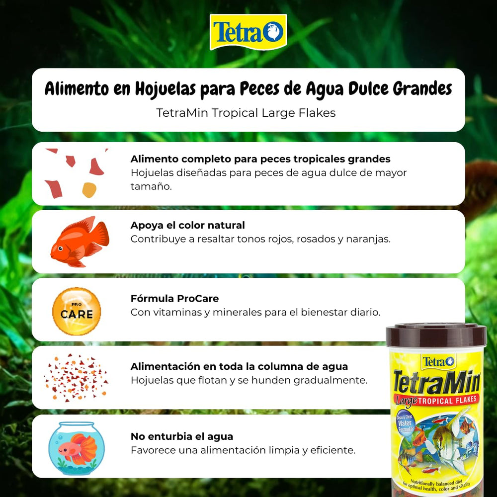 Tetra comparaison taille flocon pour gros poissons, adapté à grosses bouches