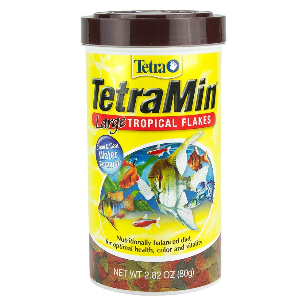 Tetra gros plan sur flocons XL montrant texture facile à digérer pour poissons
