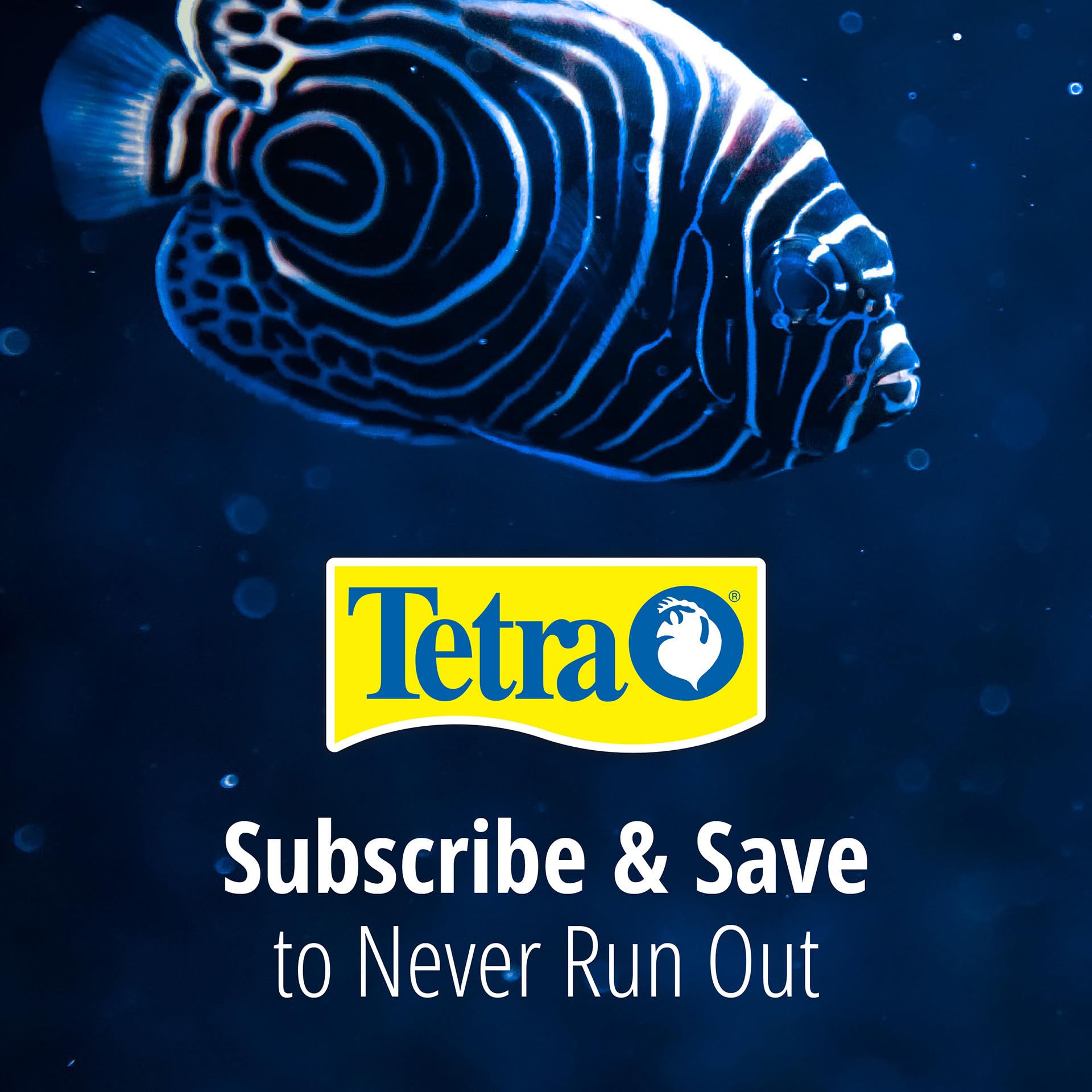 Tetra cartouche dans aquarium en situation réelle améliorant clarté visuelle