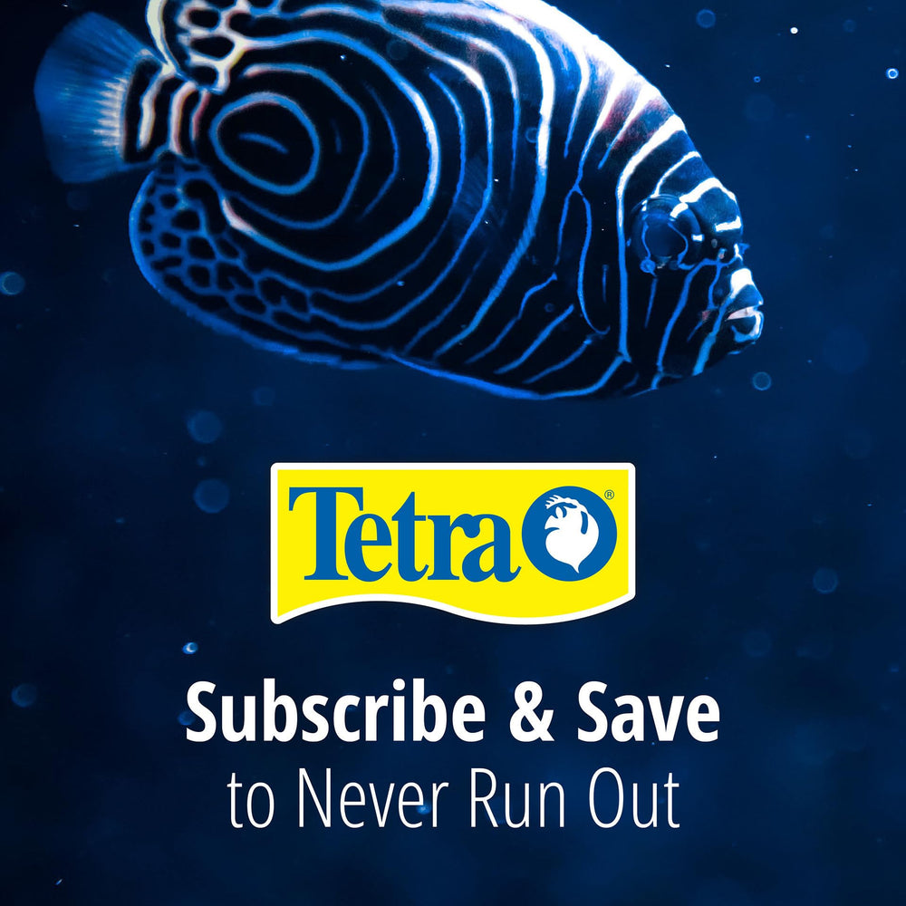 Tetra cartouche dans aquarium clair démontrant eau nette