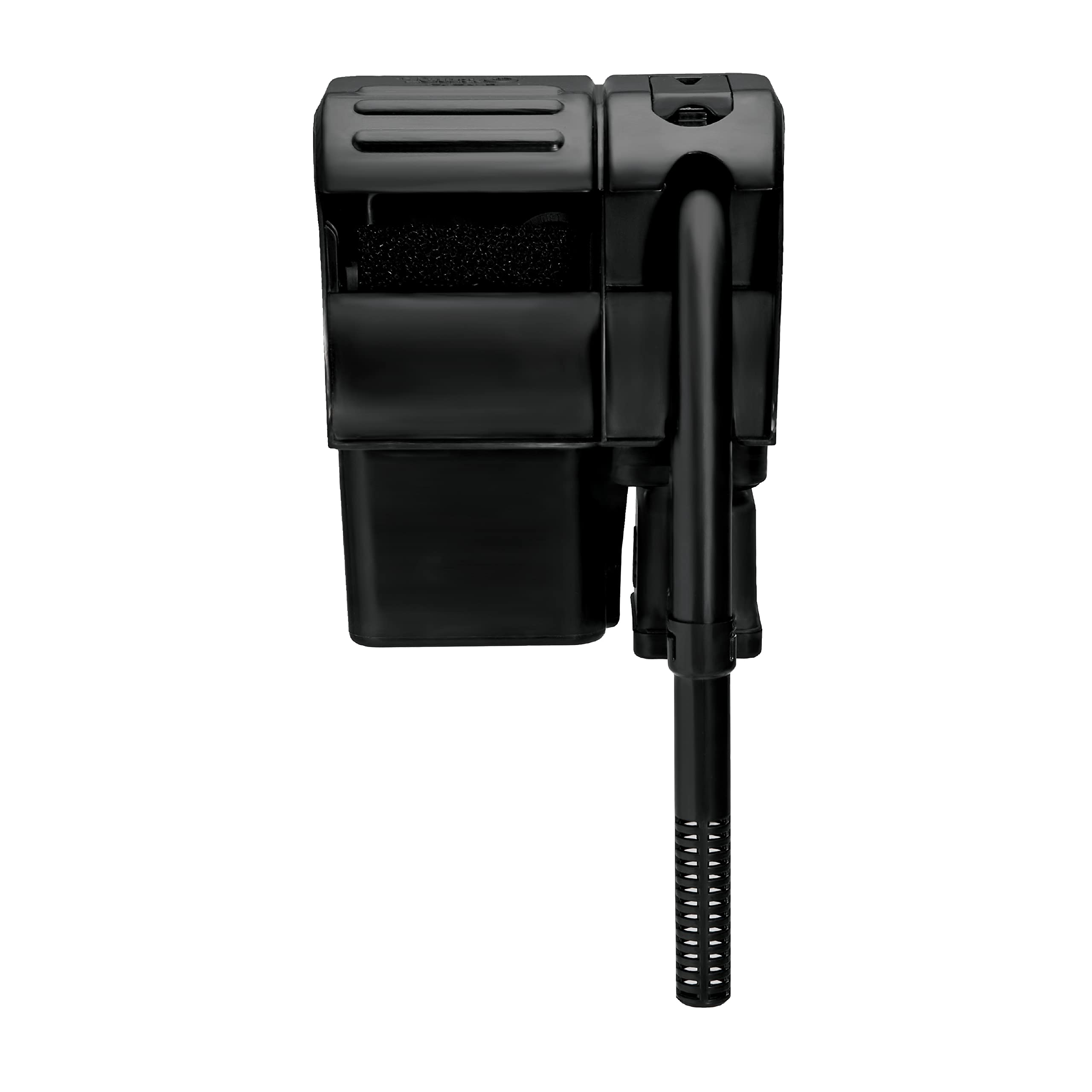 Tetra Whisper installé dans aquarium illustrant eau claire et filtration silencieuse visible