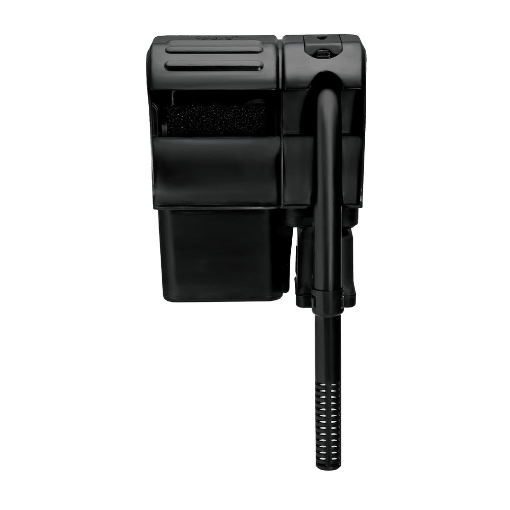 Tetra Whisper installé dans aquarium illustrant eau claire et filtration silencieuse visible