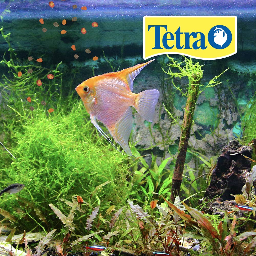 TetraPro gros plan texture anneau coloré et coeur riche en protéines