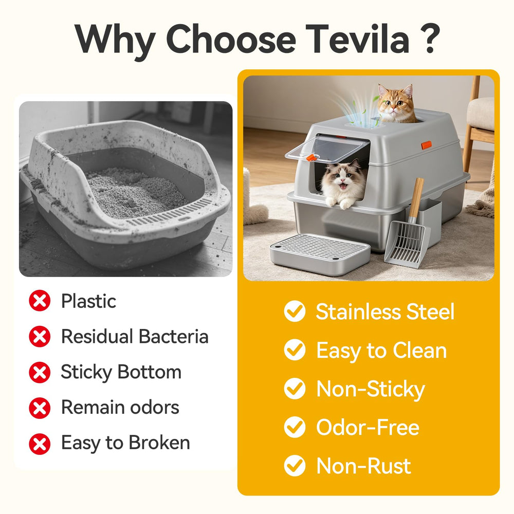Tevila échelle et chat montrant accessibilité pour chatons ou seniors
