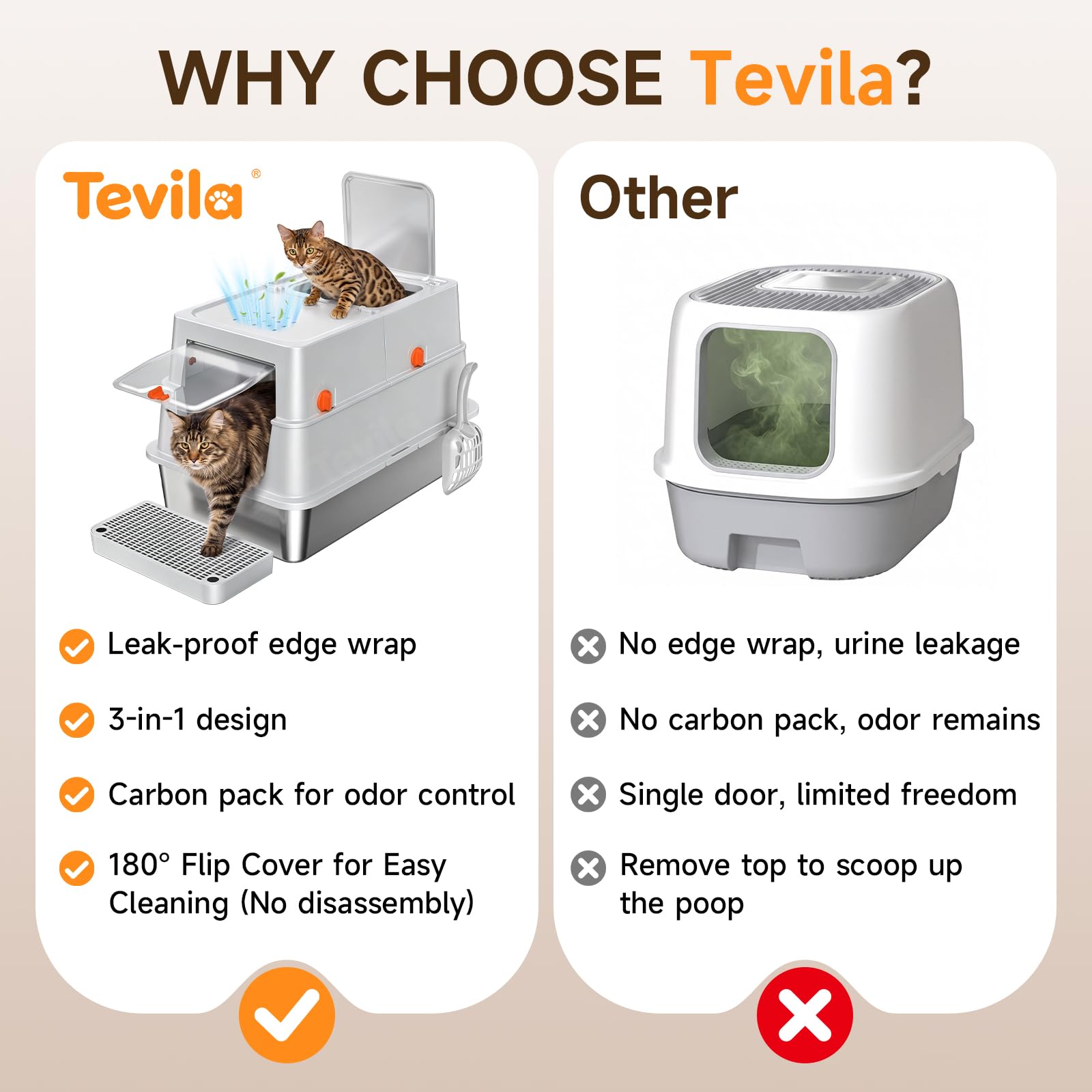 Tevila scène de salon avec chat utilisant bac, esthétique intérieure